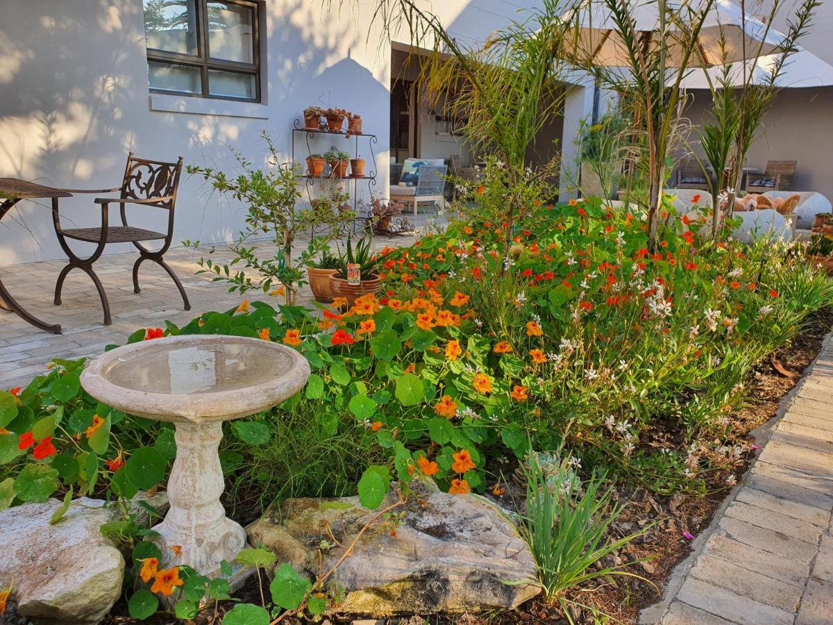 לאנגבאן Albatross Guesthouse מראה חיצוני תמונה