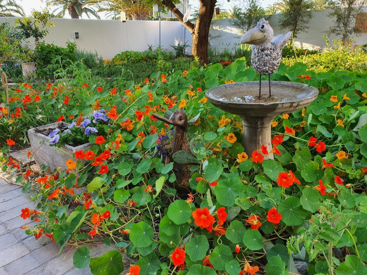 לאנגבאן Albatross Guesthouse מראה חיצוני תמונה